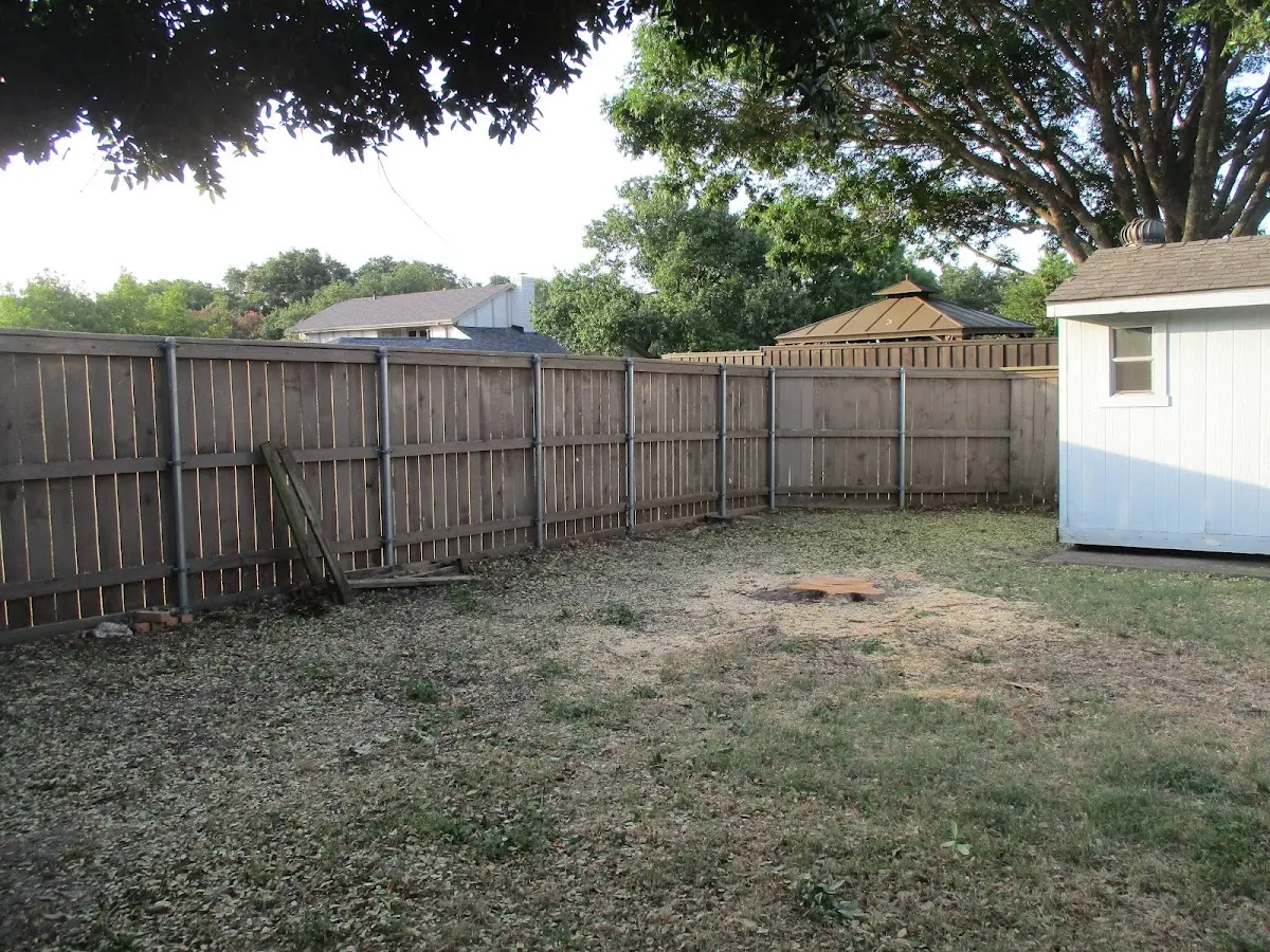 Cleared yard after professional tree removal in Carmel Valley